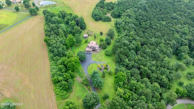 Arial View