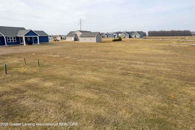 Lot 8 N Wright Rd, Fowler, MI 48835 - photo 6