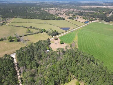 1116 Hilt Fornea Rd, Poplarville, MS 39470 - photo 7