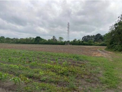 0000 County Road 146, Alvin, TX 77511 - photo 5