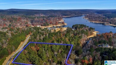 0 Long Point Rd unit 21437458, Double Springs, AL 35553 - photo 2