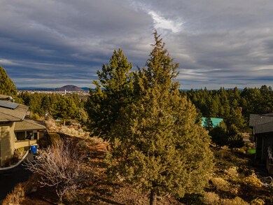DJI_0455