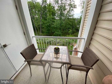 23215 Milltown Knoll Square unit 116, Ashburn, VA 20148 - photo 6