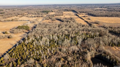 Tract 11 Rooster Rd, Conway, AR 72032 - photo 4