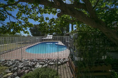 Back Yard/Pool