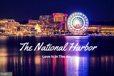 6022 Morgan Ct, Alexandria, VA 22312 - photo 5