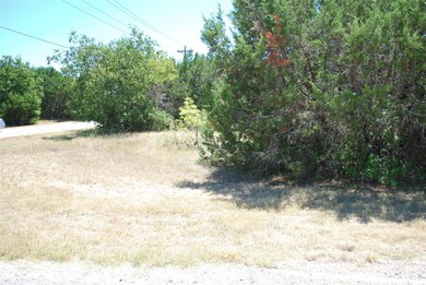 29021 Whisperwood Dr & Radde Rd, Whitney, TX 76692 - photo 2