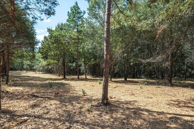 00 Hwy 69 Cr 484, Mineola, TX 75773 - photo 6