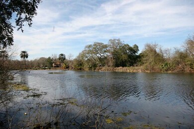 20341 Bubba St, Brazoria, TX 77422 - photo 5