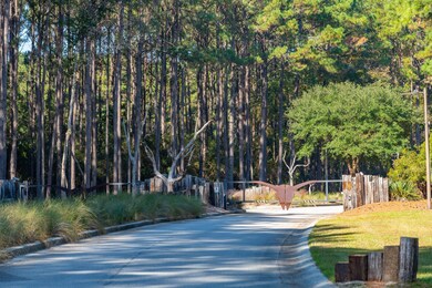 4258 True Blue Ct, Mount Pleasant, SC 29429 - photo 2