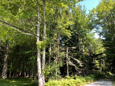 Quiet wooded lot with power at road