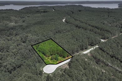 1210 Edge Ln, Tignall, GA 30668 - photo 4