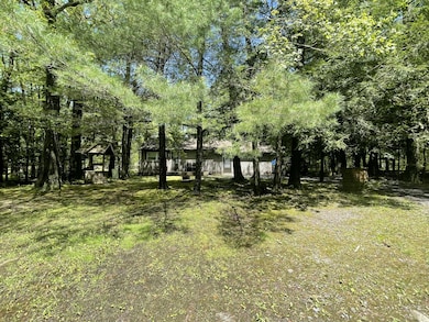 Back yard Private