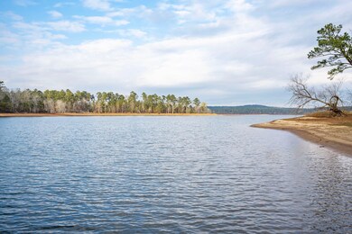1155 Maiden Cane Way, Lincolnton, GA 30817 - photo 4
