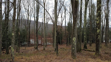 175 Laurel Cir, Terra Alta, WV 26764 - photo 3