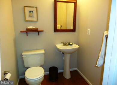 7964 Brightlight Place, Ellicott City, MD 21043 - photo 6