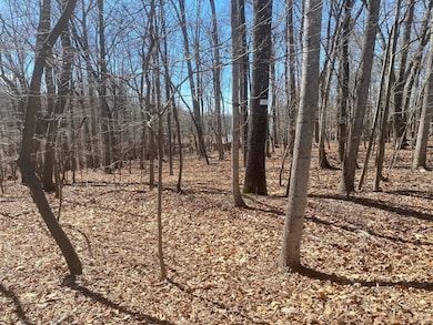 17 Saunders Point Rd, Huddleston, VA 24104 - photo 3