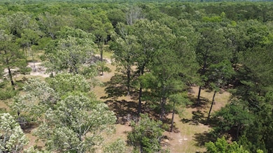 474 River Bluff Trail, Saint Stephen, SC 29479 - photo 4