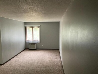 15 W Warren St unit 3, Princeton, IL 61356 - photo 7