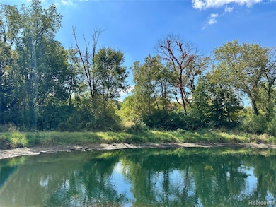 9810 Iosco Ridge Dr, Iosco Township, MI 48137 - photo 6