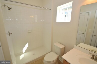 24146 High Falls Ct, Ashburn, VA 20148 - photo 5