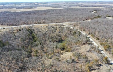 0 Hwy 136 & Haley Rd unit 11564655, Mount Moriah, MO 64481 - photo 7