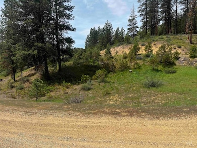 TBD Napias Lot 21, Boise, ID 83716 - photo 3