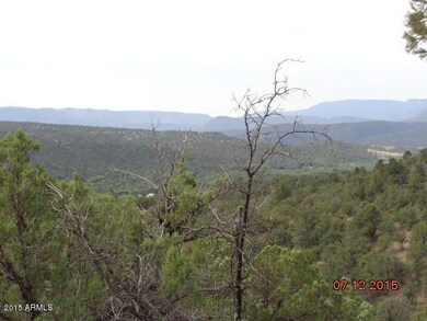 View of Cherry Creek from E edge of lot