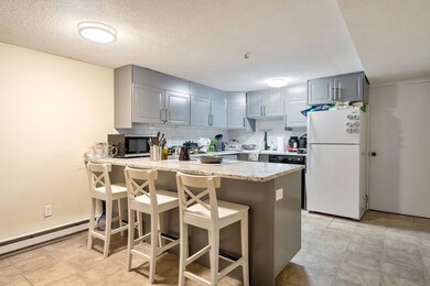 182 W Brookline St unit 1, Boston, MA 02118 - photo 3