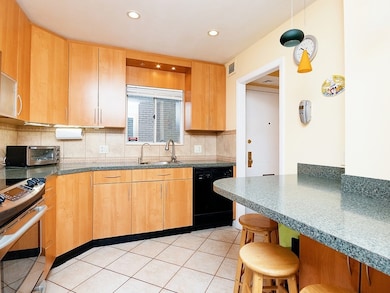 25 Williams St unit 4, Brookline, MA 02446 - photo 4