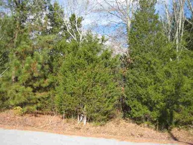 Sunset & Belleview Dr unit Corner of Sunset and, Liberty, SC 29657 - photo 2