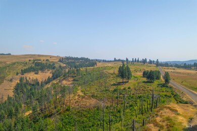 TBD-17 Acres Beaverslide Rd, Kamiah, ID 83536 - photo 3