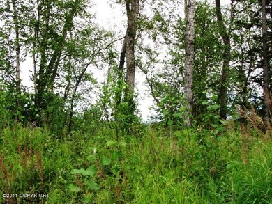 6531 E Upper Ct, Lakes, AK 99645 - photo 7