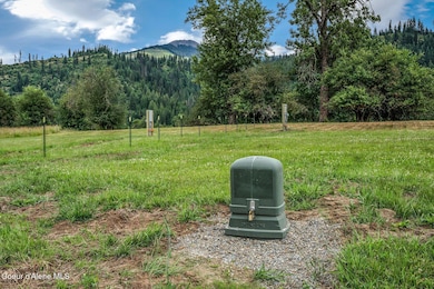 19 Horn Hooked Ln, St. Maries, ID 83861 - photo 7