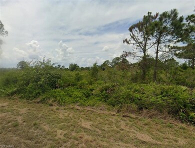 640 Vasser Ave S, Lehigh Acres, FL 33974 - photo 4