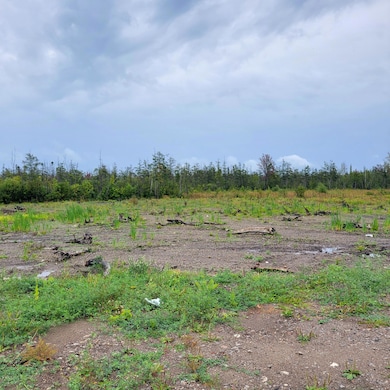 V/L 40AC W Hamilton Rd, Alpena, MI 49707 - photo 3