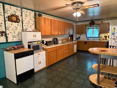 7407 Kermit Ln, South Branch, MI 48761 - photo 5