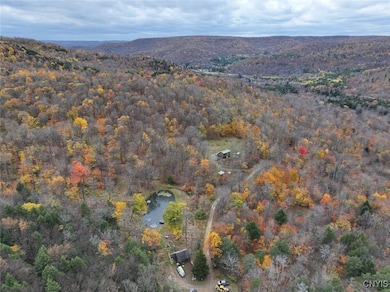 936 California Hollow Rd, Bolivar, NY 14715 - photo 5