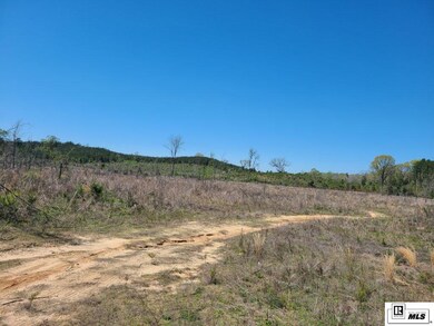 0 Highway 144 unit Highway 556, Choudrant, LA 71277 - photo 5