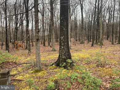 19-A Sparrow Hill Rd, Bloomery, WV 25434 - photo 6