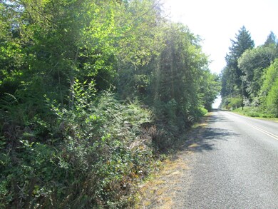 616 Delano Rd SW, Longbranch, WA 98349 - photo 6