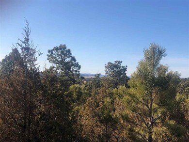 Big Sky 9 Elk Run Rd unit Canyon Rim Ranch, Custer, SD 57730 - photo 6