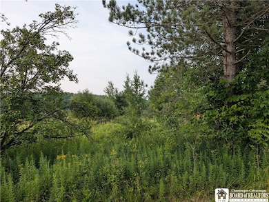 2088 East Rd, Sinclairville, NY 14782 - photo 2