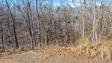 dji_20250129132902_0011_d