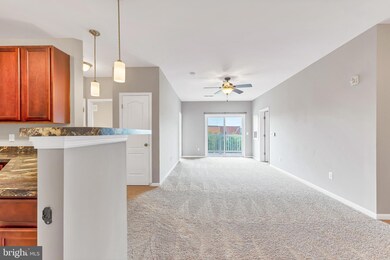 23510 F D R Blvd unit 205, California, MD 20619 - photo 6