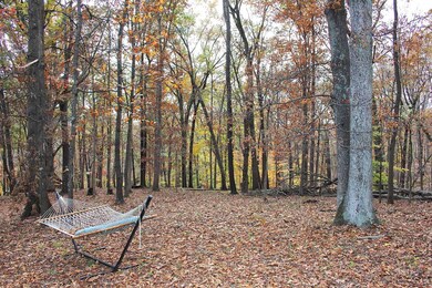 1962 Coyote Ct, Sugar Grove, OH 43155 - photo 4