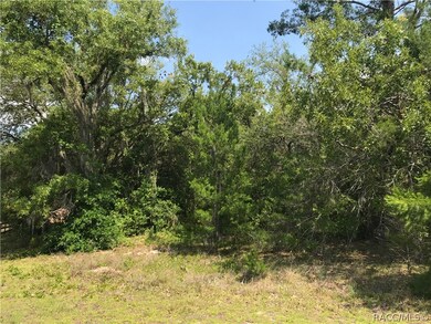 3848 N Monadnock Rd, Hernando, FL 34442 - photo 4