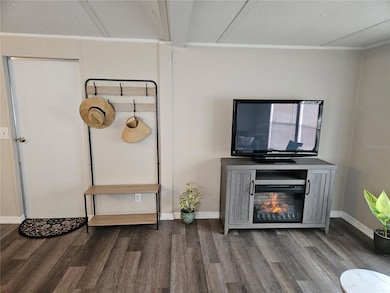 3130 Great Oak St, Wesley Chapel, FL 33543 - photo 4