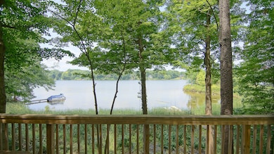 10749 Kings Ln, Berrien Springs, MI 49103 - photo 4