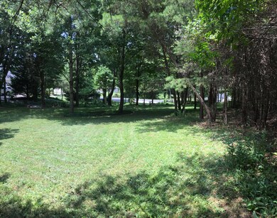 clear lot Kahite Tellico Village (6)